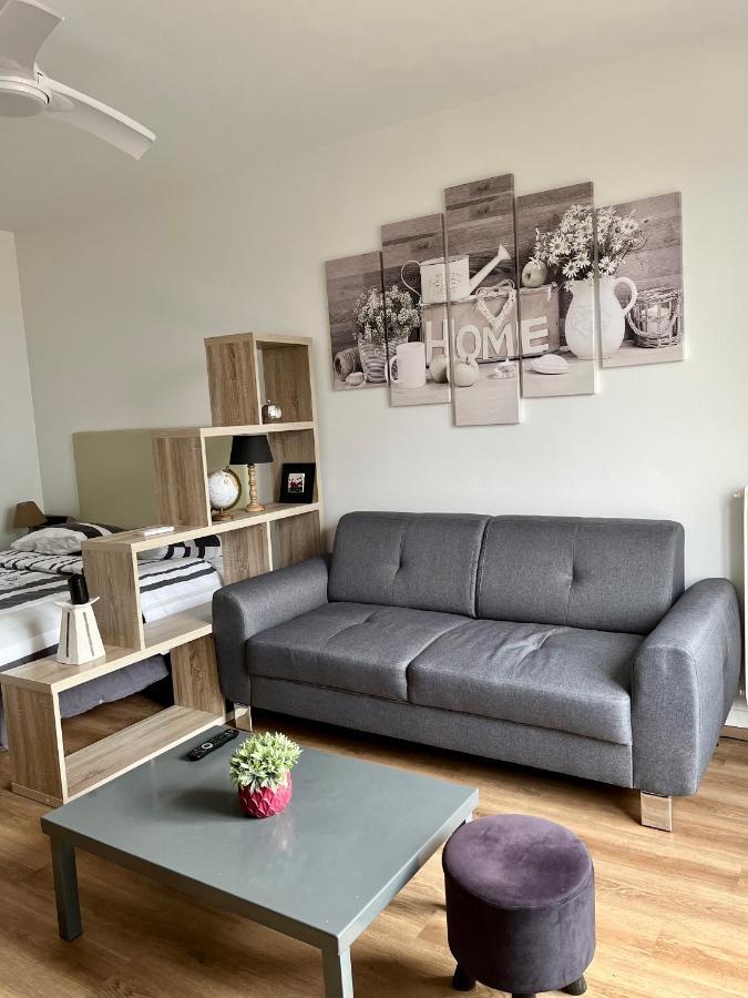 Appartement Rue Condorcet Parking Prive- Dabnb Limoges Exteriér fotografie
